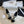 espadrilles white lambskin black velvet