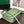 GOYA 18 BAG IN AVOCADO GREEN SILK CALFSKIN