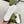 gg ace sneaker white calfskin with bee