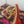 d&g iguana print brown calfskin 90 heel