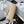 Classic Mini Flap Bag 20cm Beige Lambskin Gold Hardware
