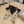 Jimmy 25 Azia 95 Platinum Ice Dusty Glitter Fabric 240077