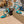 Jimmy 25 Azia 95 Pacific Blue Patent Leather 240080