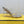 FENDI FIRST 95 MM HIGH-HEELED SANDAL IN TRANSPARENT TPU FILM AND LAMBSKIN
