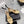 CC 26s Ankle Strap Heels 6cm Leather 163412