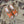 Rockstud Crisscross Espadrilles 80mm Sandal Wedges Orange