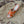 Rockstud Crisscross Espadrilles 80mm Sandal Wedges Orange