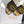 CD Mule Dway Slide 10mm Multi-motifs Style 32