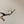 SLINGBACK SANDAL ETERNITE 75 BLACK MIX SILVER LAMBSKIN