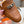 0Z MULE CARAMEL CALFSKIN WITH PATTERN
