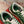Lace And Mesh Lacerunner Sneaker In Green White Mix Earth Brown 994623