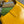 GG JACKIE SMALL 28 SHOULDER BAG IN YELLOW CALFSKIN