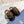 CD TIMELESS OXFORD OMBRE CARAMEL EMBOSSED CALFSKIN
