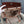 HM HERBAG ZIP 31 CIDER AND CREAMY WHITE CALFSKIN