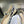 JAdior Slingback Flat Duck Blue Embroidered Cotton with Gold-Tone Metallic Thread