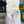 ALPIN MINI BACKPACK 21 IN WHITE LAMBSKIN AND GOYARDINE CANVAS