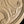 SMOOTH CALFSKIN 16 OVAL BEIGE CREAM BAG