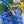 MONTMARTRE GM CASE 18 IN SAPPHIRE BLUE GOYARDINE CANVAS