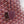 BELLECHASSE BIAUDE PM BAG 36 IN WINE RED GOYARDINE CANVAS AND CALFSKIN TRIM