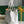 BELLECHASSE BIAUDE PM BAG 36 IN WHITE GOYARDINE CANVAS AND CALFSKIN TRIM