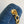DENIM LEATHER 24 CHAIN SHOUDER BAG