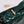 my cd mini 21 dark green patent calfskin