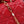 my cd mini 21 red lambskin