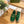 GG 26ss Loafer Green Straw Sheepskin 692197