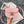 BESACE TRIPHOME 17 CALFSKIN PINK PASTEL
