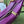 SHOULDER BAG 25 IN VIOLET CALFSKIN GOLD HARDWARE