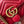 gg marmont mini 18cm red calfskin gold hardware