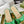 GG SPARKLE CRYSTAL SLIDE SANDAL METALLIC GREEN CALFSKIN
