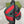 GG Striped Rubber Slides Black Red Green Rubber 788223
