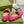 BLONDIE LOGO-PLAQUE LOAFERS IN BRIGHT PINK CALFSKIN