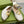 BLONDIE LOGO-PLAQUE LOAFERS IN WHITE CALFSKIN