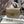 BESACE TRIPHOME 17 CALFSKIN BEIGE CREAM