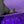 BAGUETTE MINI 19 IN GRAPE JELLY SEQUINS GOLD HARDWARE