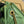 GG MARMONT 17 BUCKET BAG IN LIGHT GREEN CALFSKIN
