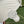 gg marmont mini 18cm all white calfskin