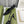 sling back pump 85 black mesh