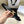 Medium Triomphe Belt 25mm Black Calfskin Gold Finishing