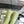 CC Rainboots Green Rubber 204201