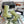 CC Rainboots Green Rubber 204201