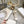 walkn high-top 45 gold white oblique embroidery canvas