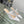 cd pump 65 transparent mesh embroidered white flower moitf
