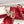Vlogo Signature Slingback Pump Red Toile Iconographe Raffia