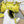 NEO CAGOLE 26 IN WATTLE YELLOW LAMBSKIN