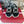 Viv Diamond Sandals Black Fabric 560521
