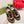 GG TRAINER BLACK AND TAWNY CALFSKIN
