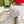 GG TRAINER LIGHT GRAY AND TORTILLA CALFSKIN